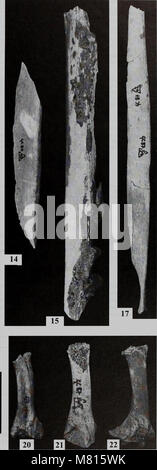 Bulletin des Natural History Museum Geologie (2000) (19873675133) Stockfoto