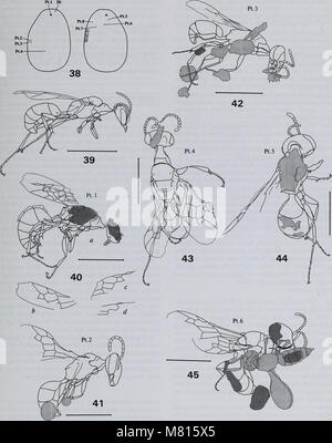 Bulletin des Natural History Museum Geologie (2000) (20500970081) Stockfoto