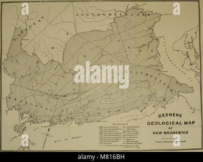 Bulletin der Natural History Society von New Brunswick (1897-1899) (20308685819) Stockfoto