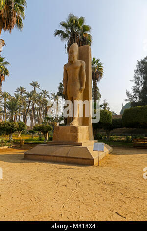 Statue von Pharao Ramses II. in Memphis, Ägypten, Nordafrika Stockfoto