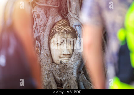 Leiter der Sandstein Buddha in der Big Tree root. In Ayutthaya Historical Park in der Provinz Ayutthaya, Thailand Stockfoto