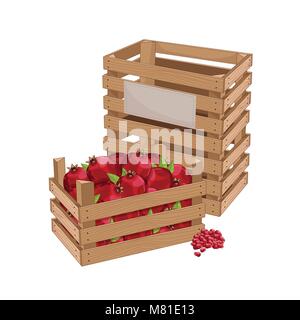 Holzkiste voller Granatapfel isoliert Vektor Stock Vektor