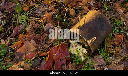 Alte rostige Farbe können liegen auf dem Waldboden durch Blätter in der Morgensonne umgeben Stockfoto