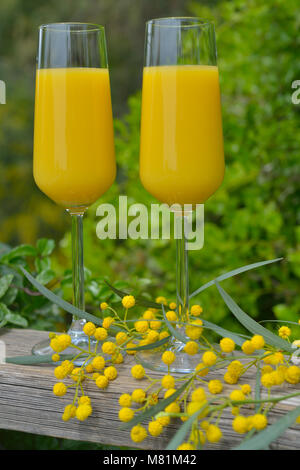 Zwei Gläser von Mimosa Cocktail im Freien gegen üppigem Laub Stockfoto