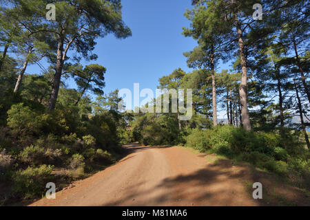 Forest Road in der Nähe von Marmaris, Türkei Stockfoto