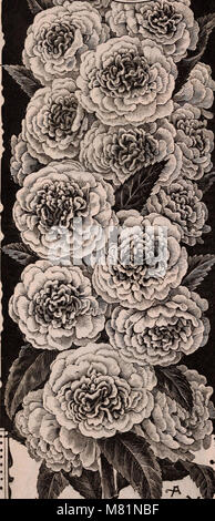 Die jährlichen Burpee Folgendes Farm, 1892 (1892) (20484930576) Stockfoto