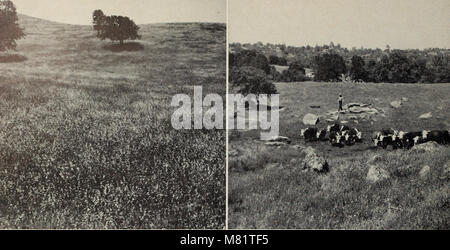 Kalifornien Bereich brushlands und durchsuchen Pflanzen (1963) (20515293975) Stockfoto