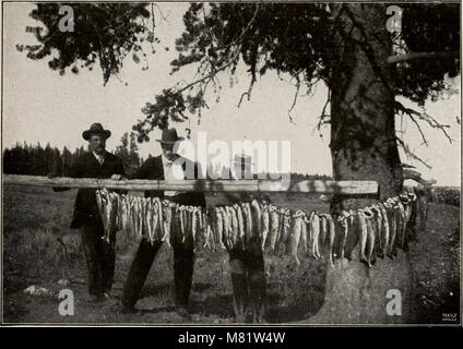 Campbell's neue, überarbeitete dritte Auflage komplette Anleitung und beschreibende Buch des Yellowstone Park (1916) (14775333224) Stockfoto