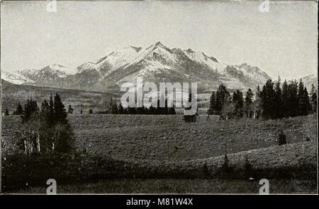 Campbell's neue, überarbeitete dritte Auflage komplette Anleitung und beschreibende Buch des Yellowstone Park (1916) (14775345034) Stockfoto