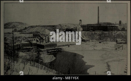 Kanadische Forstindustrie Januar-Juni 1915 (1915) (20528610805) Stockfoto