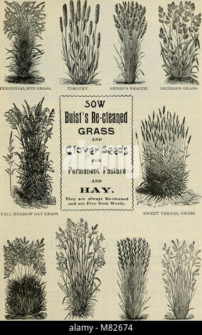 Buist's Garden Führer und Almanach - 1902 (1902) (20375723920) Stockfoto