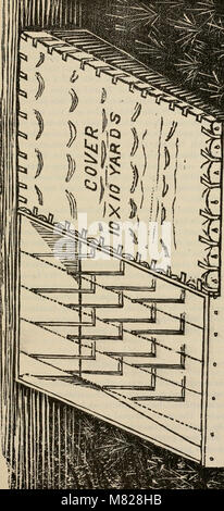 Bulletin - Bericht der landwirtschaftlichen Experiment Station, der Landwirtschaft und der mechanischen College in Auburn, Ala ((1888-1903)) (20501333005) Stockfoto