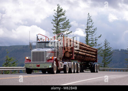 Big Rig American Idol Tag cab leistungsfähige Semi Truck mit Auflieger für den Transport von langen abgeschnitten die Protokolle auf der Straße in Columbia Gorge Bereich Stockfoto