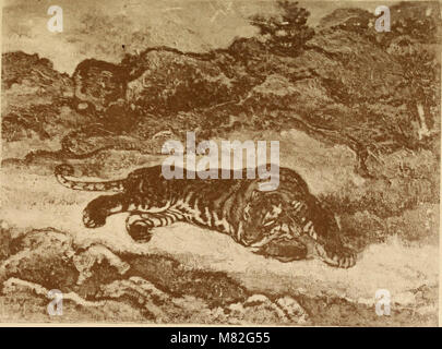 Katalog de Tableaux modernes Aquarelle, Pastelle (1901) (14597848199) Stockfoto