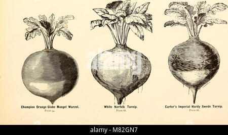 Katalog von Blumen- und Gemüsesamen, Gladiolen, Lilien, und Sommerblüher, mit Anweisungen für deren Anbau (1872) (19959091863) Stockfoto