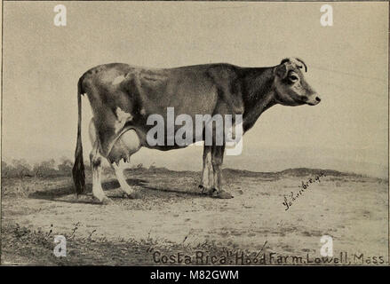 Katalog der Haube Farm, Lowell, Massachusetts (1896) (14598286547) Stockfoto