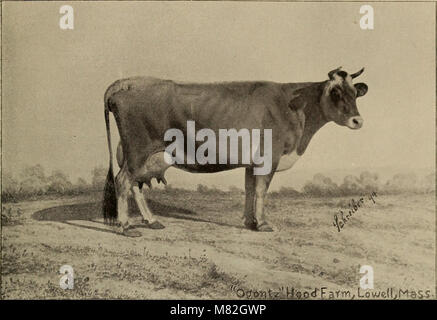 Katalog der Haube Farm, Lowell, Massachusetts (1896) (14781672671) Stockfoto