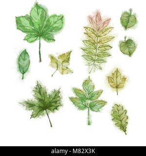 Grüne Blätter Aquarell gemalt. Freehand gemalten Baum Blätter. Auf Weiß isoliert. Für Design-, Druck- und Textilindustrie. Stockfoto