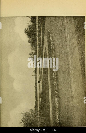 Stadt Dokumente. Kommunale registrieren, der Bürgermeister von Adresse, Jahresberichte, etc. (1894) (14577380989) Stockfoto