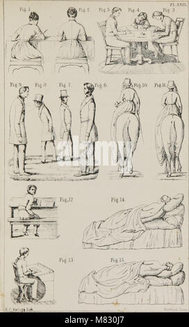 Klasse - das Buch der Physiologie - für die Nutzung von Schulen und Familien - bestehend aus der Aufbau und die Funktionsweise der Organe des Menschen, illustriert von vergleichenden Bezugnahme auf diejenigen von minderwertigen Tiere (1860) (14593723339) Stockfoto