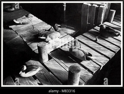 Coast Watch, eine 1979 erschienene Publikation, konzentriert sich auf die Überwachung der Küstenumwelt und bietet detaillierte Studien über ozeanographische Bedingungen, die Gesundheit des Ökosystems und die Auswirkungen menschlicher Aktivitäten auf Küstenregionen. Stockfoto