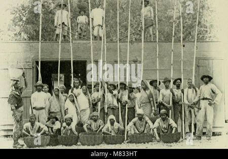 Kakao und Schokolade, eine kurze Geschichte der, ihre Herstellung und Verwendung (1907) (20040702683) Stockfoto