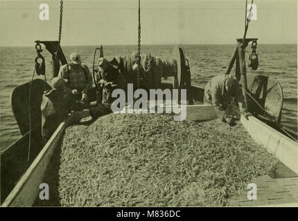 Der „Commercial Fisheries Review“ (1969) ist eine Zeitschrift, die Trends in der Fischereiwirtschaft, Ressourcenmanagement, wirtschaftliche Auswirkungen und technologische Entwicklungen in der globalen kommerziellen Fischerei analysiert. Stockfoto