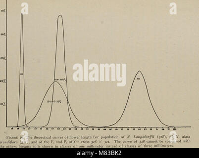 Beiträge des Laboratoriums für Pflanzengenetik (1909) beschreibt die Forschung zur Pflanzengenetik mit Schwerpunkt auf Erbeigenschaften, Pflanzenzüchtung und Agrarwissenschaft. Die Arbeit beschreibt Fortschritte im Verständnis der genetischen Vererbung und ihrer Anwendung in der Pflanzenforschung. Stockfoto