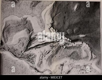 Beiträge zur Geologie und Paläontologie von Canal Zone, Panama, und geologisch verwandte Bereiche in Mittelamerika und der Karibik. (1919) (20502714020) Stockfoto