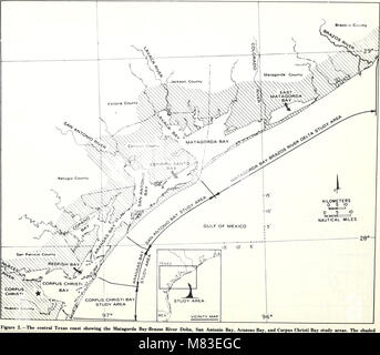 Kooperative Golf von Mexiko Mündungs- bestand und Studie, Texas - Beschreibung - Richard A. Diener (1975) (20671960986) Stockfoto