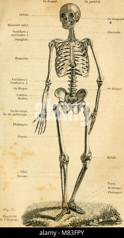 Cours élémentaire d'Histoire Naturelle - a l'usage des colléges et des Maisons d'Bildung - rédigé conformément au Programme de l'Université du 14 Juin 1840 (1841) (20514677938) Stockfoto