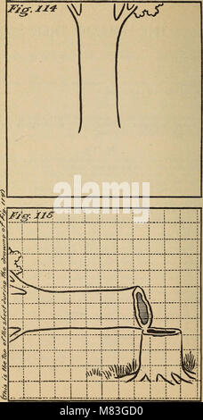 Kreide und Charakter - Wahrheit deutlich gemacht durch Auge und Ohr oder 10-minütige Gespräche mit farbigen Kreiden (1913) (14763652572) Stockfoto