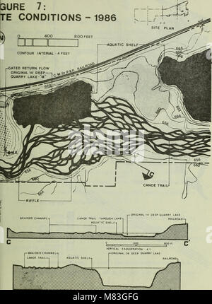 Der Bericht von 1982 über die Schaffung von Feuchtgebieten im Nordosten von Illinois konzentriert sich auf ökologische Sanierungsbemühungen zur Verbesserung der Biodiversität und der Wasserqualität in der Region. Es geht um die Wiederherstellung von Feuchtgebieten und ihre Rolle in lokalen Ökosystemen. Stockfoto