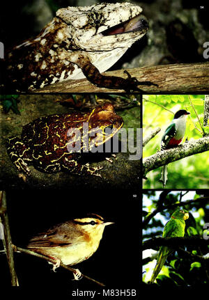 Kuba - Camagüey, Sierra de Cubitas (2006) (20776396876) Stockfoto