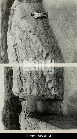 Kulturelle Chronologie und ändern, wie in der Keramik Der Virú Tal, Peru (1955) (20813095705) reflektiert. Stockfoto