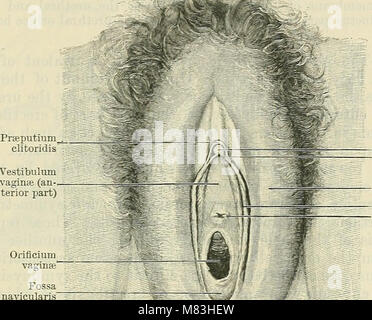 Cunninghams „Text-Book of Anatomy“ (1914) ist ein umfassendes Nachschlagewerk, das die menschliche Anatomie, einschließlich der Struktur von Knochen, Muskeln, Organen und Systemen, beschreibt und sich an Studenten und medizinische Fachkräfte richtet. Stockfoto