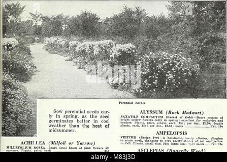 Currie's Garten jährliche - 62. Jahr Frühjahr 1937 (1937) (20630501238) Stockfoto