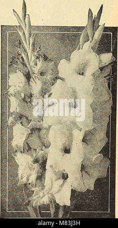Currie's Garten jährliche - 63. Jahr Frühjahr 1938 (1938) (20630809850) Stockfoto