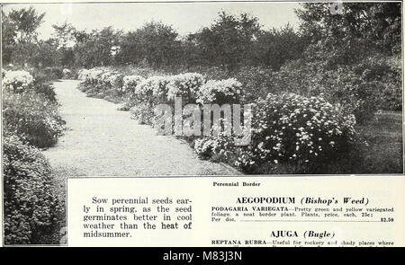 Currie's Garten jährliche - Frühling, 1935, 60 (1935) (20630140458) Stockfoto