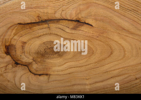 Nahaufnahme einer Holz Hintergrund mit jahresringe. Bild mit hoher Auflösung. Detaillierte organische Oberfläche aus der Natur Stockfoto
