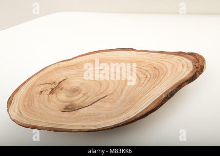 Große kreisförmige Stück Holz Querschnitt mit Baum ring Textur muster und Risse auf einem weißen Hintergrund. Detaillierte organische Oberfläche von Na Stockfoto