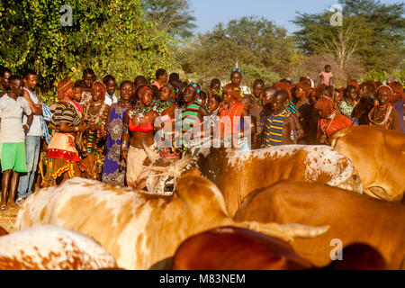 Junge Hamar Frauen Tanzen und Singen zu einem Stier springen Zeremonie, Dimeka, Omo Valley, Äthiopien Stockfoto