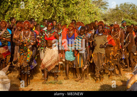 Junge Hamar Frauen Feiern im einen Stier springen Zeremonie, Dimeka, Omo Valley, Äthiopien Stockfoto