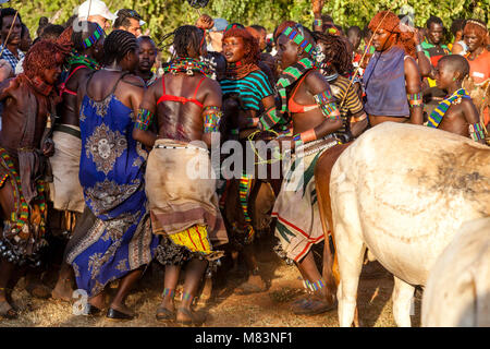 Junge Hamar Frauen Tanzen und Singen zu einem Stier springen Zeremonie, Dimeka, Omo Valley, Äthiopien Stockfoto