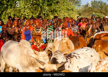 Junge Hamar Frauen Tanzen und Singen zu einem Stier springen Zeremonie, Dimeka, Omo Valley, Äthiopien Stockfoto