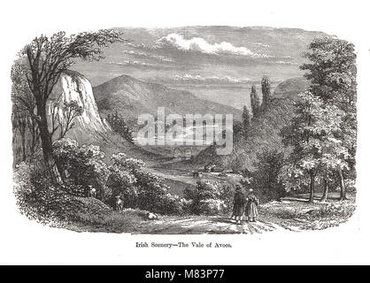 Tal von Avoca, County Wicklow, Irland, 19. Jahrhundert Gravur Stockfoto