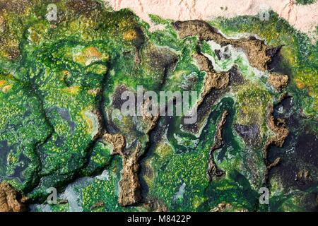 HOT SPRING MINERALISIERUNG IN DEN FLUSS KARLOVA VARY TSCHECHISCHE REPUBLIK Stockfoto