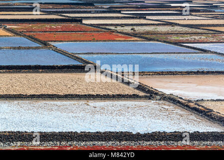 Las Salinas de Janubio, Salzwiesen in Lanzarote, Kanarische Inseln, Spanien Stockfoto