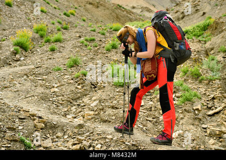 Reisender auf dem Trekking auf markha Valley Trek Route in Ladakh Stockfoto