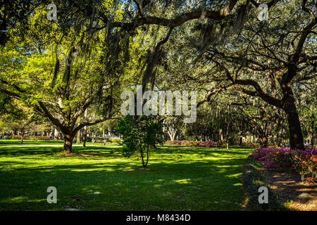 Historische Forsyth Park in Savannah Georgia awash in blühende Azalee Büsche und lebendigen Frühling Grün leben inmitten von Eichen, beladen mit reichlich span Stockfoto